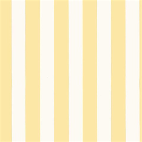 Belmont Stripe Yellow