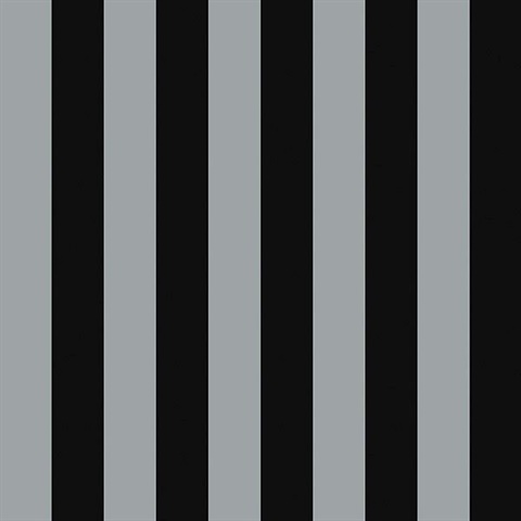 Belmont Stripe Black/Silver