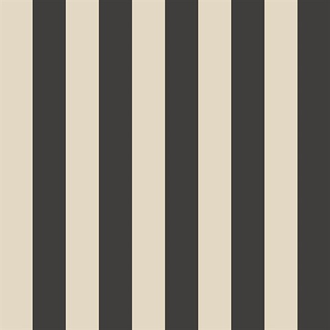 Belmont Stripe Black/Cream