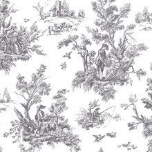 Irish Countryside Toile