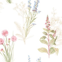 Spring Plants
