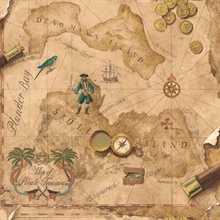 Pirates Map