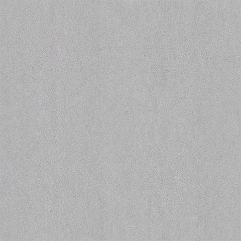 Matter Silver Texture