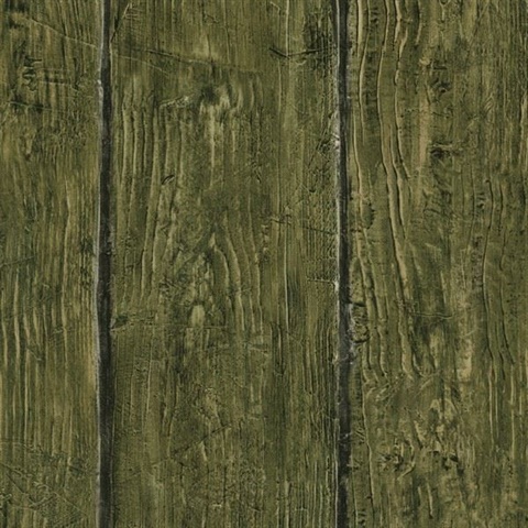 Rodeo Green Outhouse Wood Wall