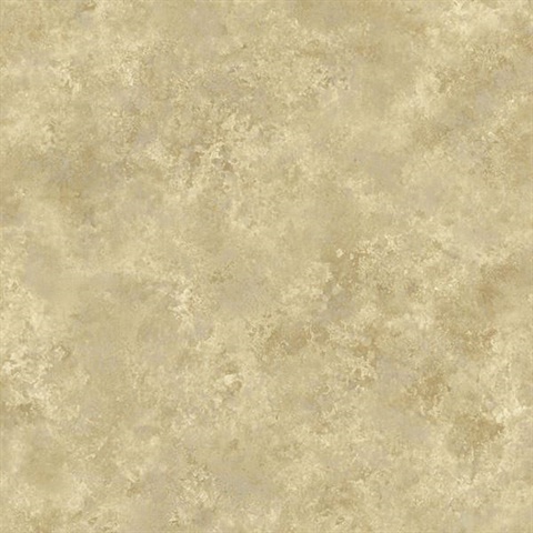 Aspasia Gold Distressed Texture