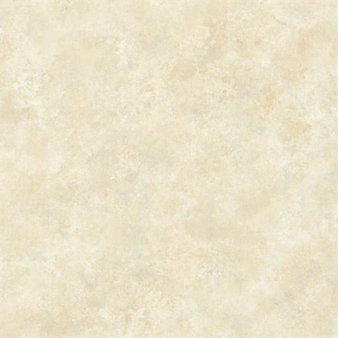 Aspasia Off White Distressed Texture Aspasia Off White Distressed Texture