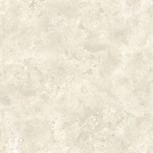 January Taupe Distressed Texture