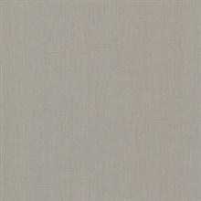 Ramses Grey Woven Texture