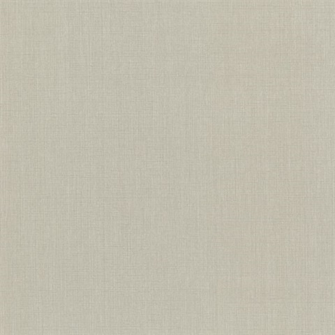 Ramses Taupe Woven Texture
