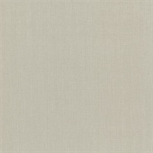 Ramses Taupe Woven Texture