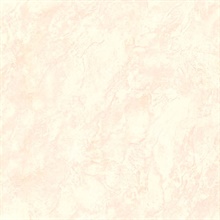 Rosetta Blush Marble Texture