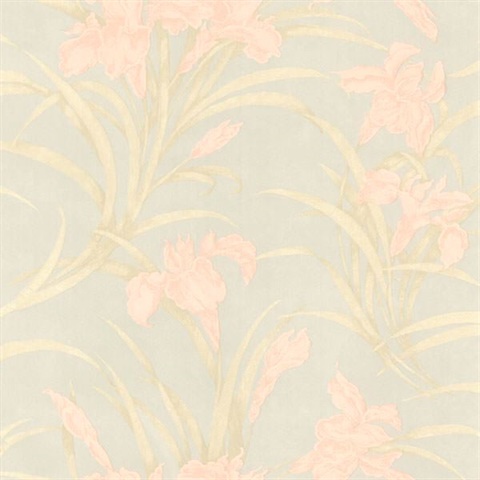 Vivianne Peach Iris Floral