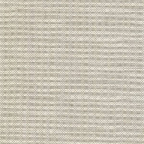 David Light Grey Basket Weave Texture