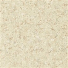 Nils Beige Rag Texture