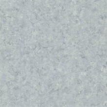 Nils Blue Rag Texture