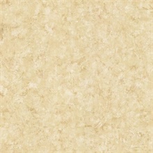 Nils Neutral Rag Texture