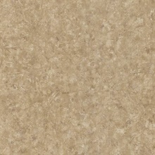 Nils Taupe Rag Texture