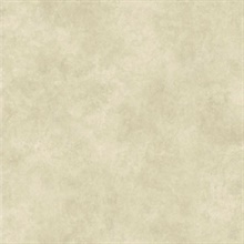 Neutral Scroll Texture