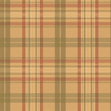 Bronze Austin Plaid