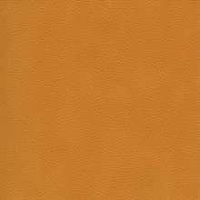 Brown Luxurious Palatial