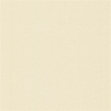 Slava Beige Texture