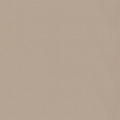 Slava Taupe Texture