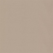 Slava Taupe Texture