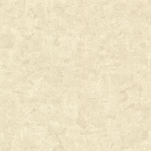 Meeka Beige Resplendent Plaster Texture