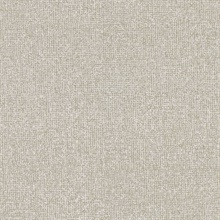 Tatum Pewter Texture