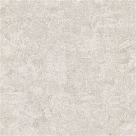 Meeka Silver Resplendent Plaster Texture