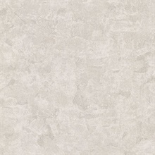 Meeka Silver Resplendent Plaster Texture