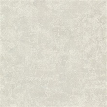 Meeka Pewter Resplendent Plaster Texture