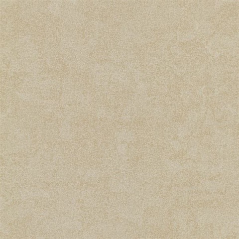 Meeka Gold Resplendent Plaster Texture