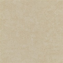 Meeka Gold Resplendent Plaster Texture