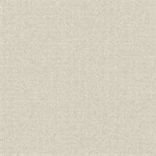 Reggie Beige Texture