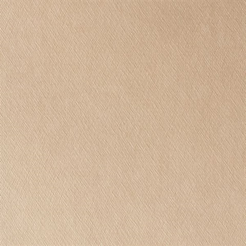 Sheen Texture
