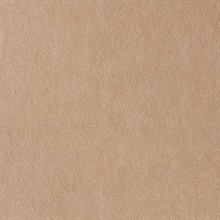 Sheen Texture