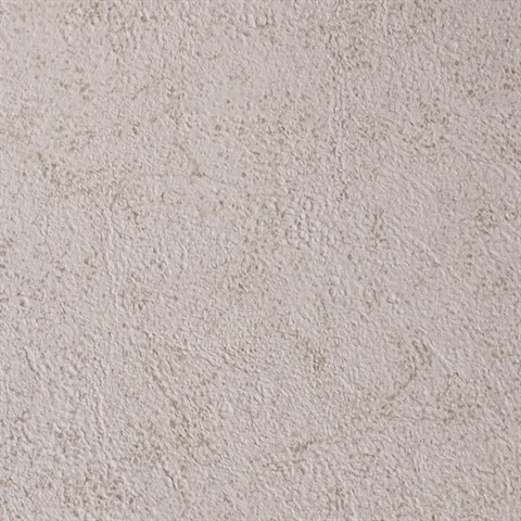 Sand Piper