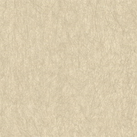 Cartier Grey Cracked Texture Wallpaper