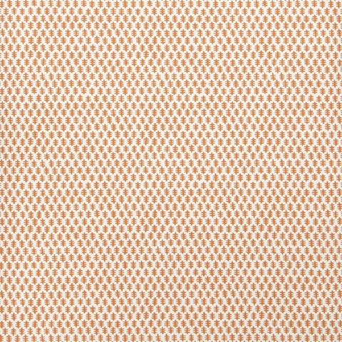 75003W Edie Mango 10
