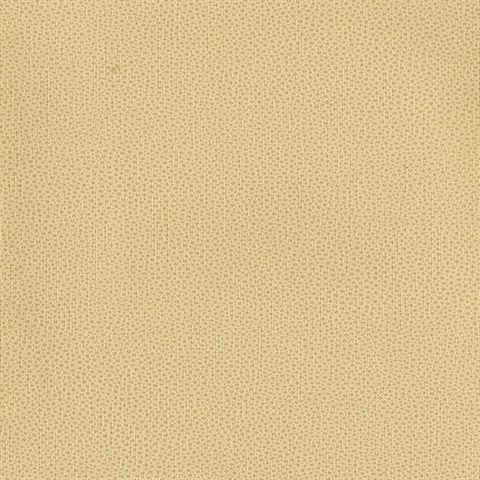Abaco Wallpaper