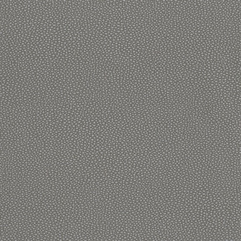 Abaco Wallpaper