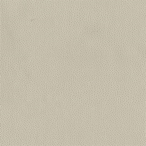 Abaco Wallpaper