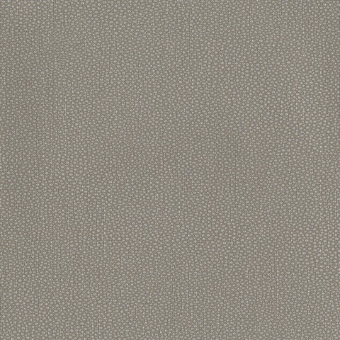 Abaco Wallpaper