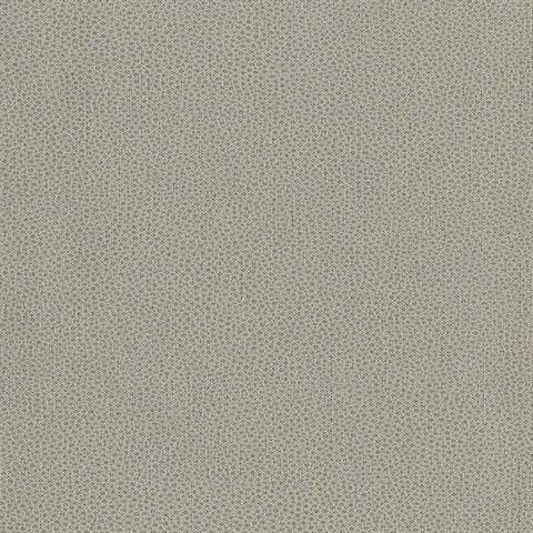 Abaco Wallpaper