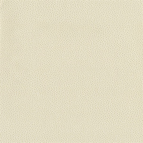 Abaco Wallpaper