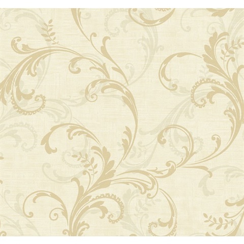 Acanthus Leaves, Scroll