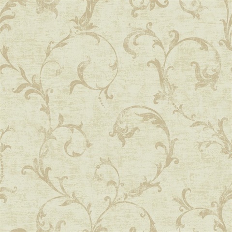 Acanthus Scroll Traditional