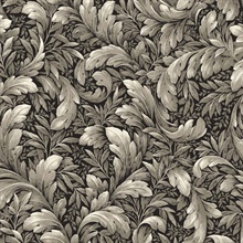 Acanthus Trail Botanical Charcoal Peel and Stick Wallpaper