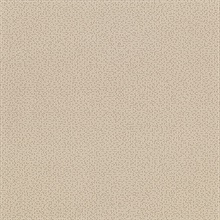 Acute Bone Geometric Triangles & Squares Wallpaper